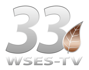 WSES